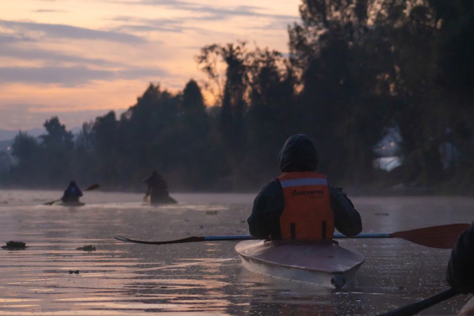 Kayak