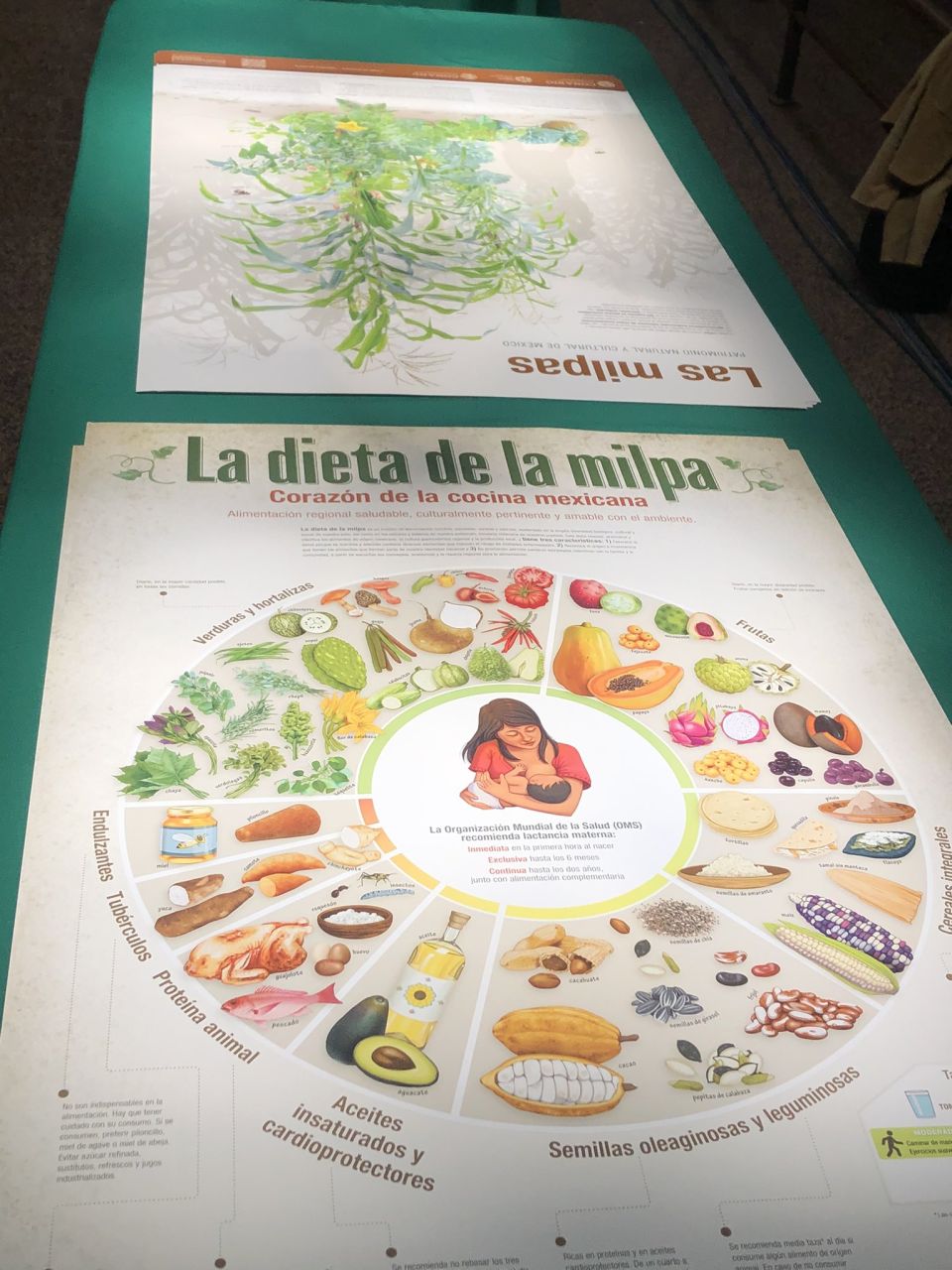 La dieta de la milpa