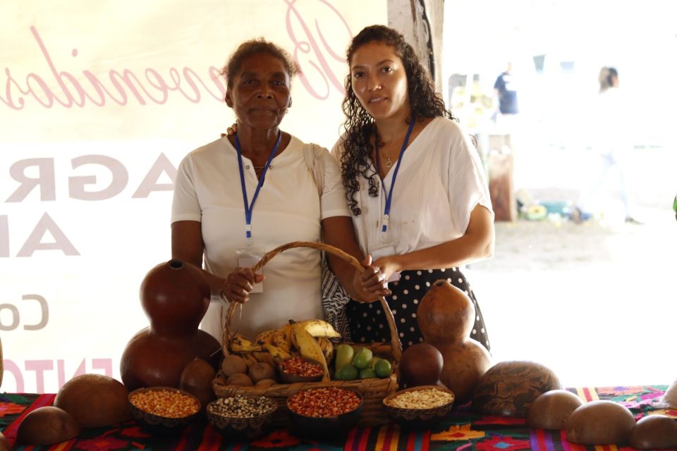 Afromexicanas