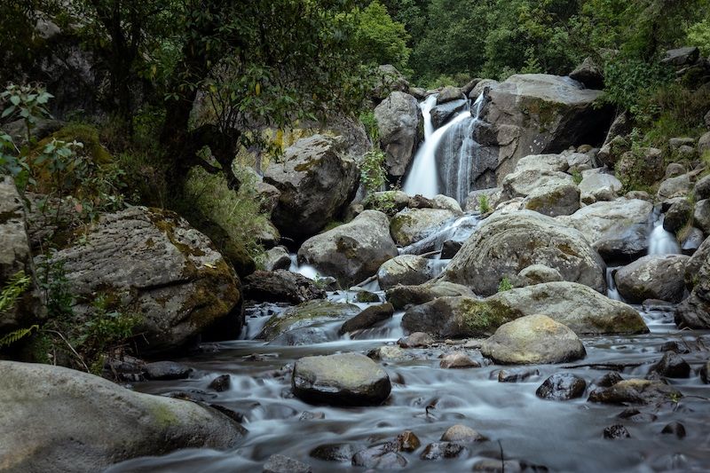 Suelo de Conservación en la CDMX