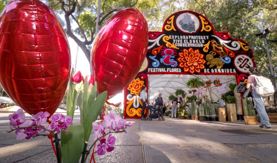 Festival de orquídeas