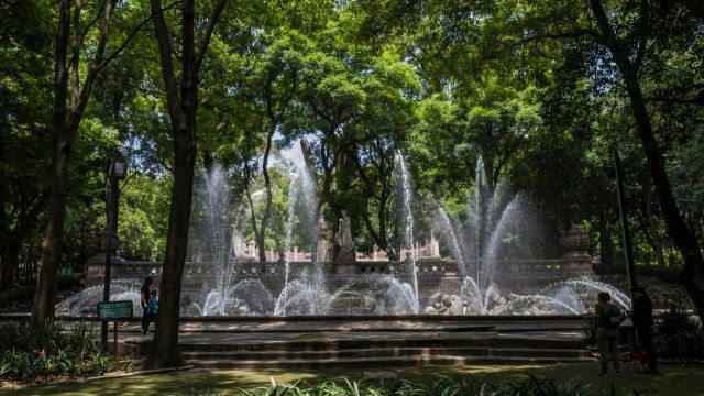 Bosque de Chapultepec 