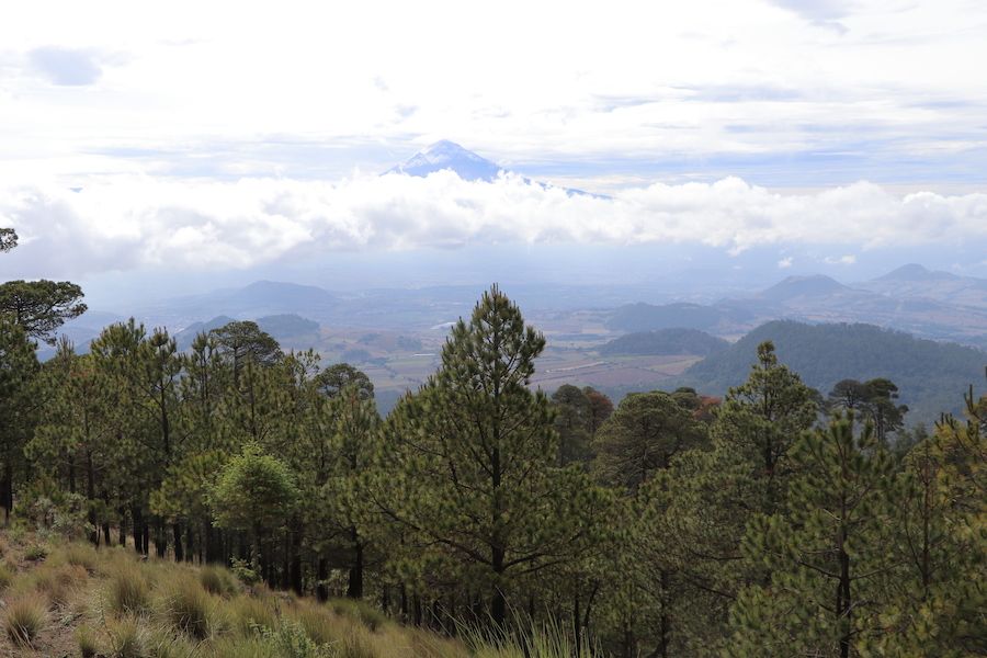 Bosque de Milpa Alta 