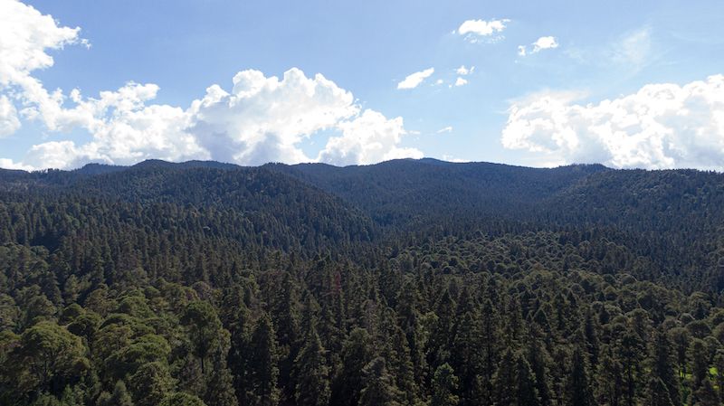 Parque Ejidal San Nicolás Totolapan