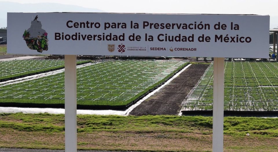 Centro para la Preservación de la Biodiversidad de la Ciudad de México. 
