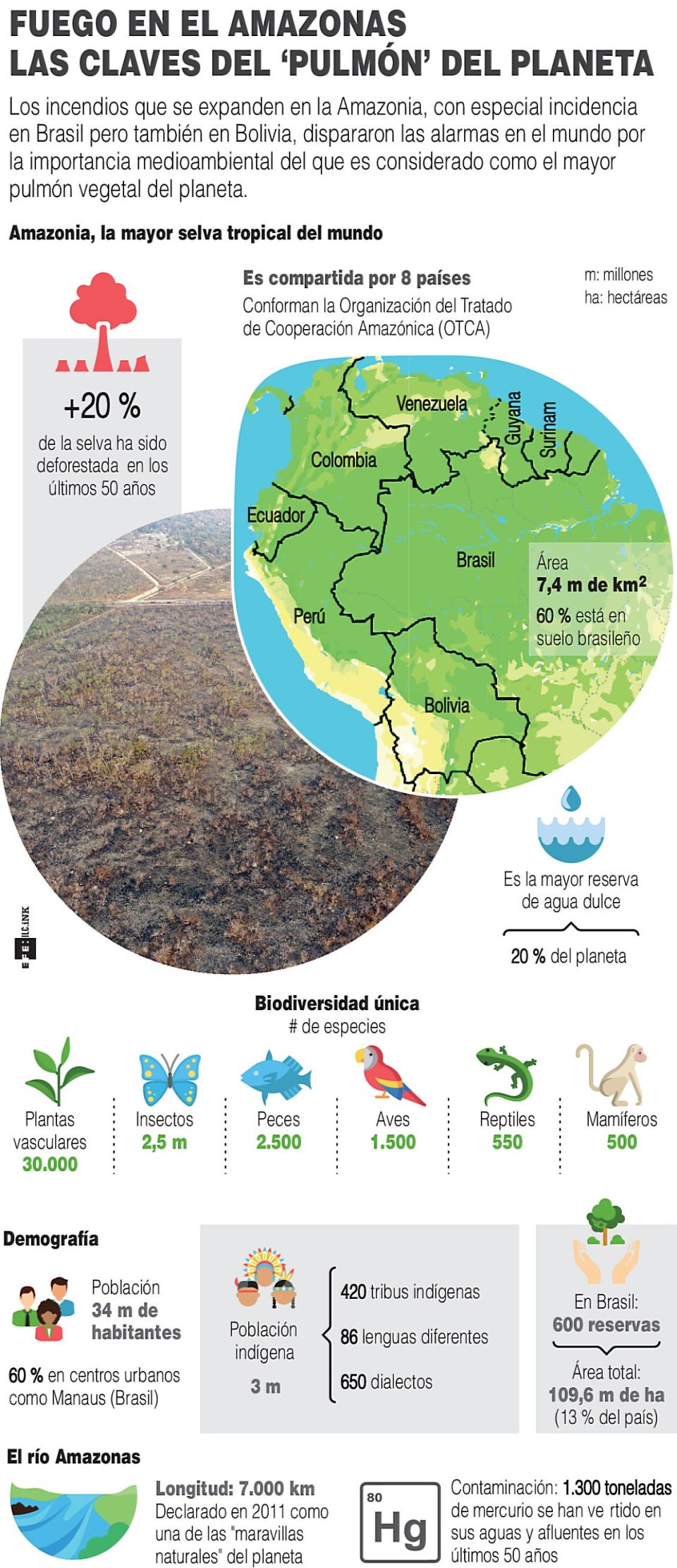 Infografía de la Amazonia