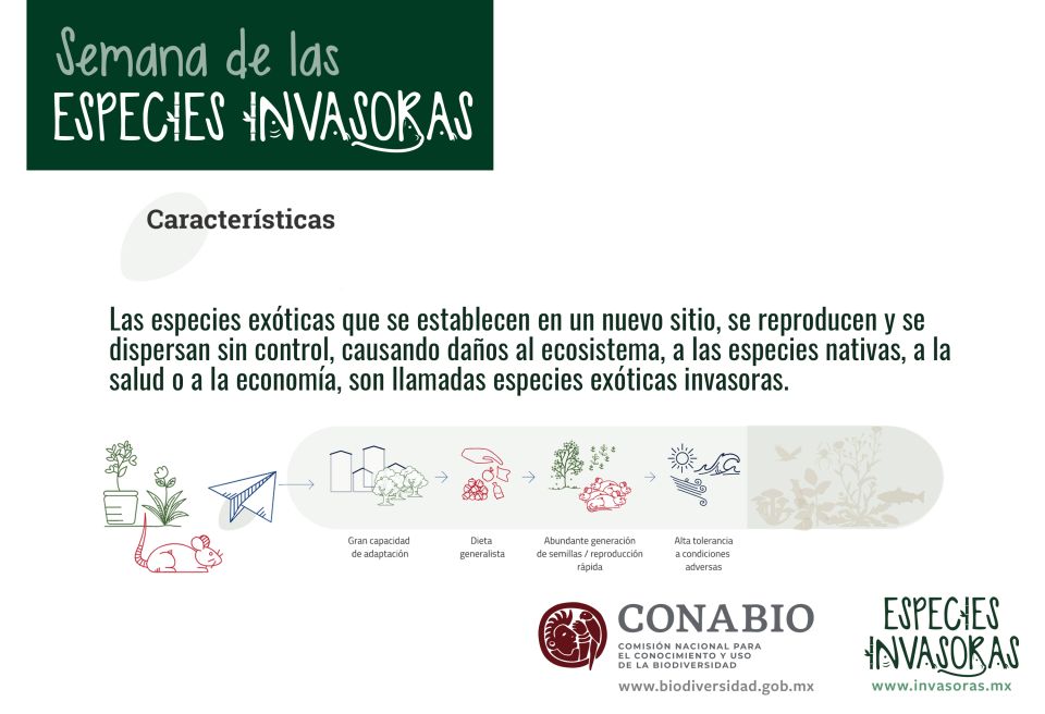 Especies invasoras