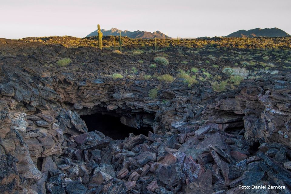 Reserva de la Biósfera el Pinacate 