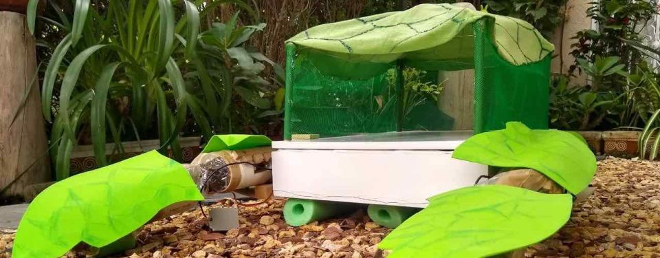 Robotic Turtle to Clean Lakes