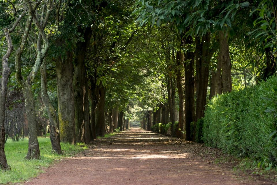 Viveros de Coyoacán