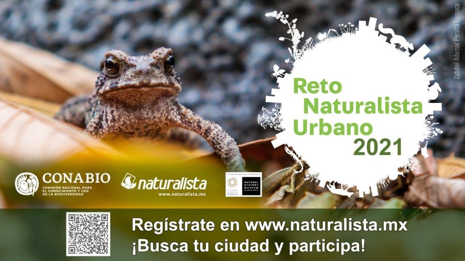 Reto Naturalista