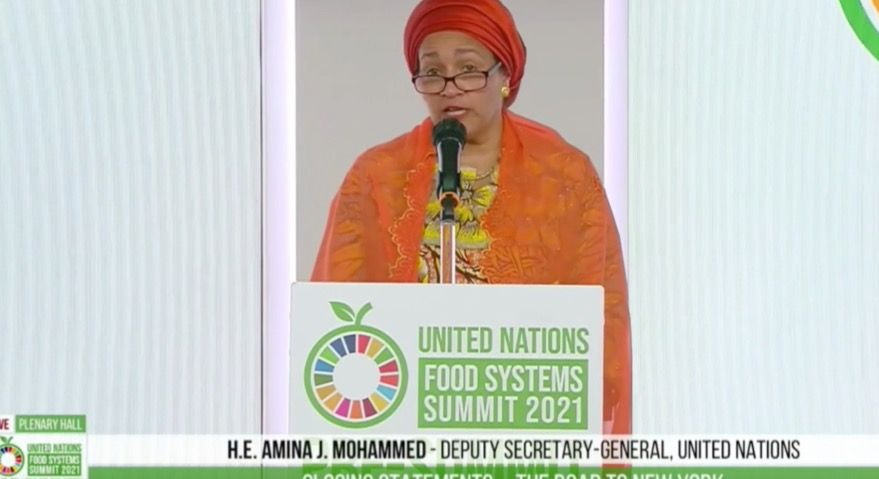 Amina Mohammed