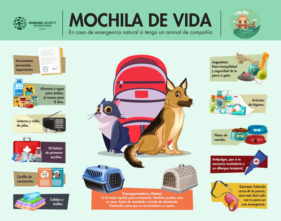 Mochila de vida