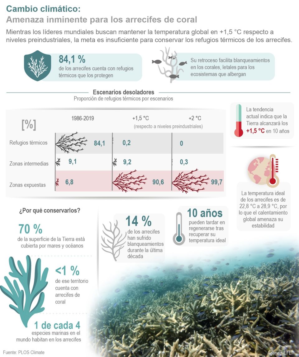 Infografía Corales