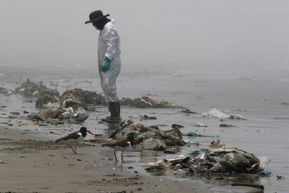 Contaminación en la playa