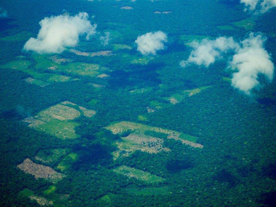 Amazonía peruana