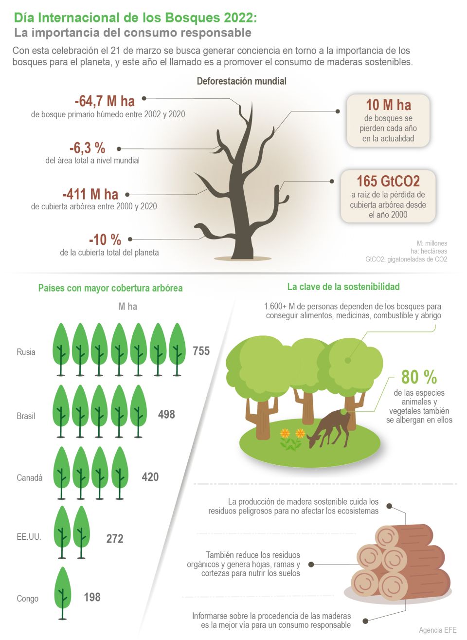 Infografía Día de los Bosques