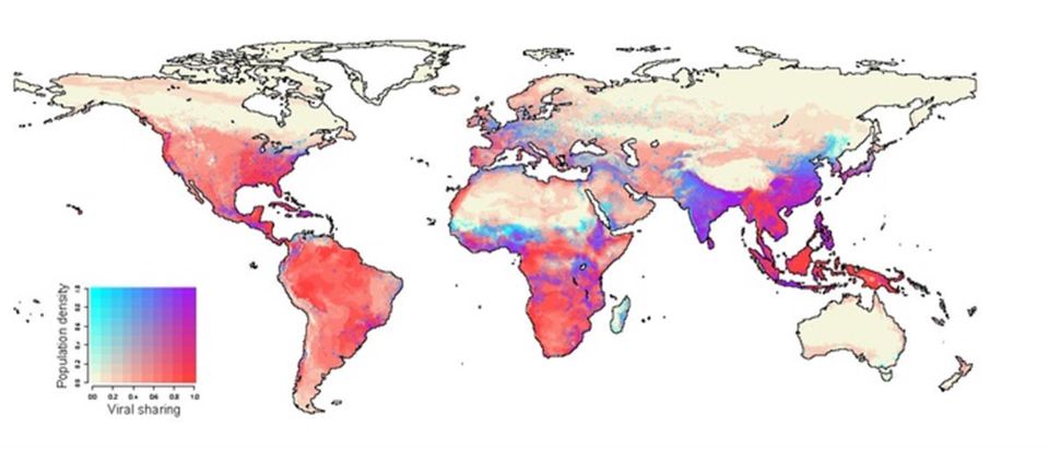 En 2070, los centros de población humana de África ecuatorial, el sur de China, la India y el sureste de Asia coincidirán con los lugares previstos de riesgo de transmisión viral entre especies en la fauna salvaje. Georgetown University. Mapa