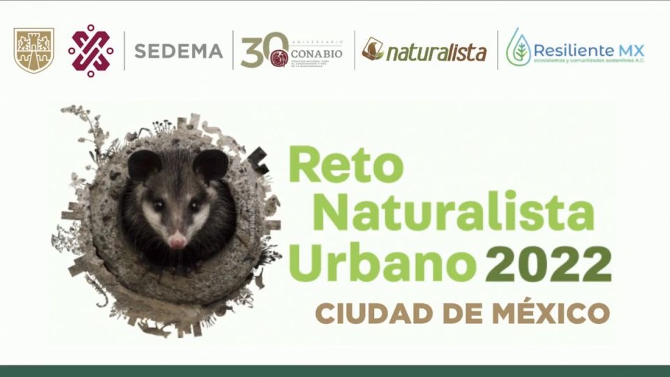 Reto Naturalista