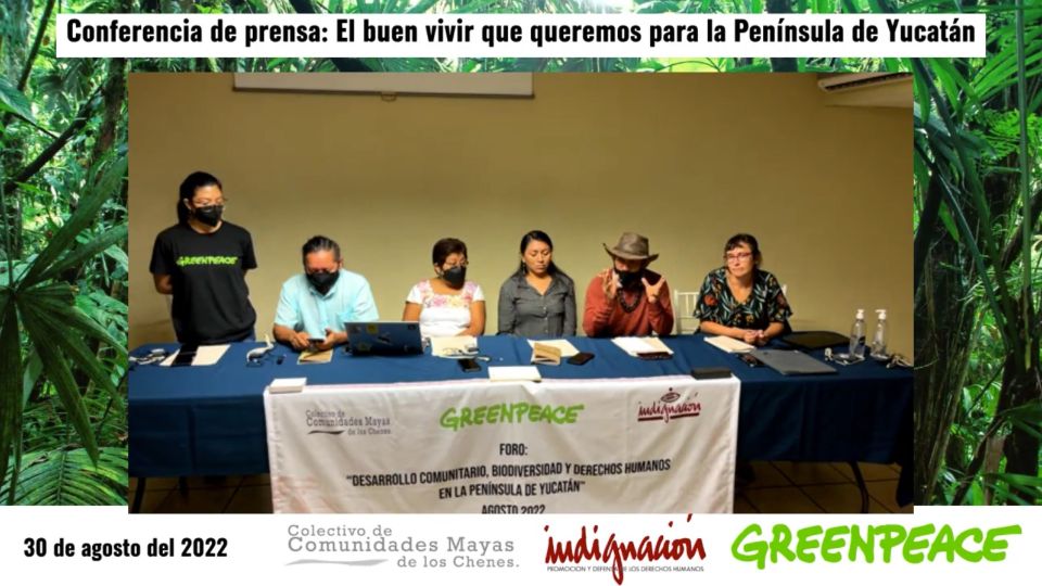 Greenpeace México