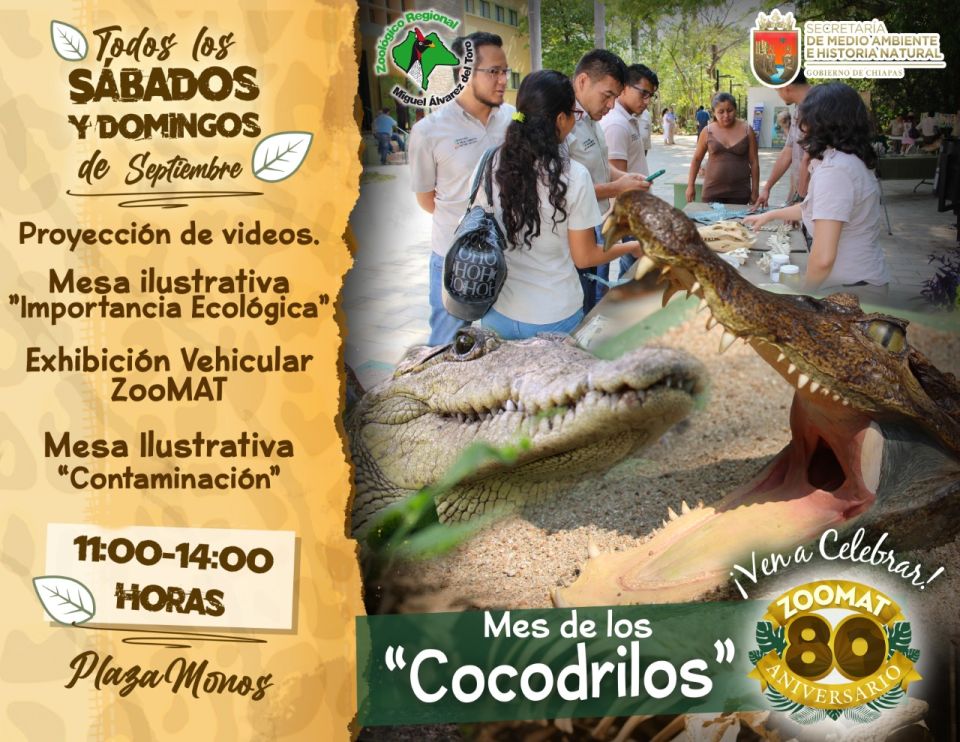 Cocodrilos