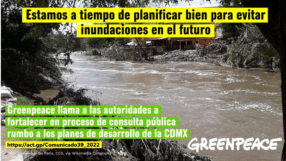 Inundación Greenpeace