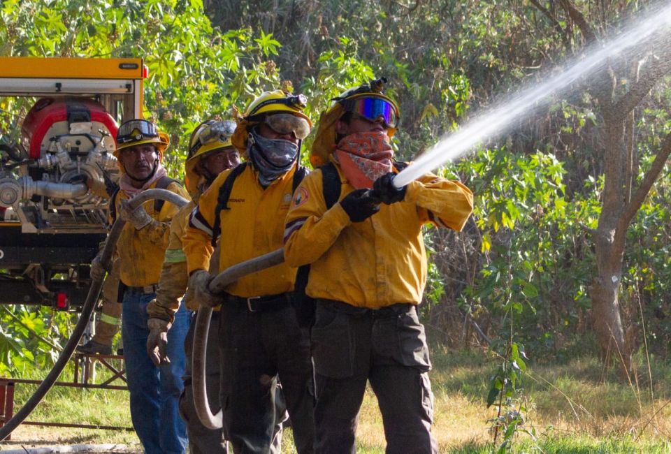 Combatientes forestales