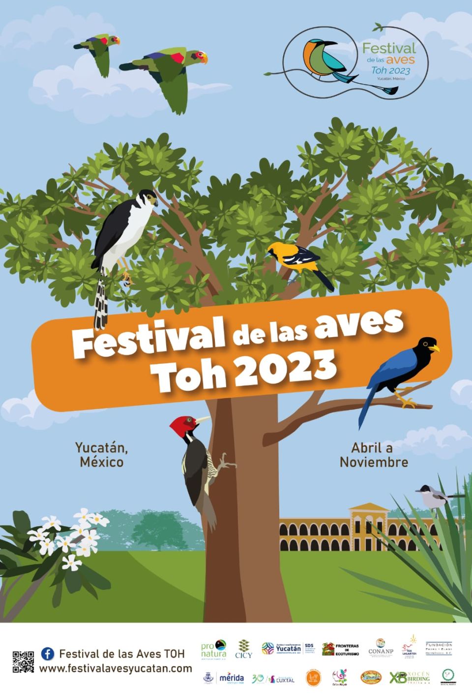 Festival de las aves Toh