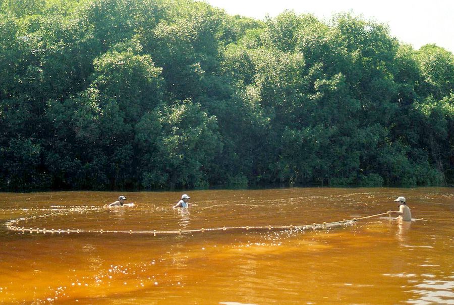 Laguna de Celestún