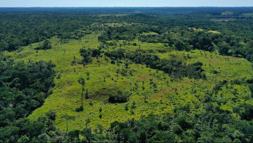 Selva Maya Guatemala