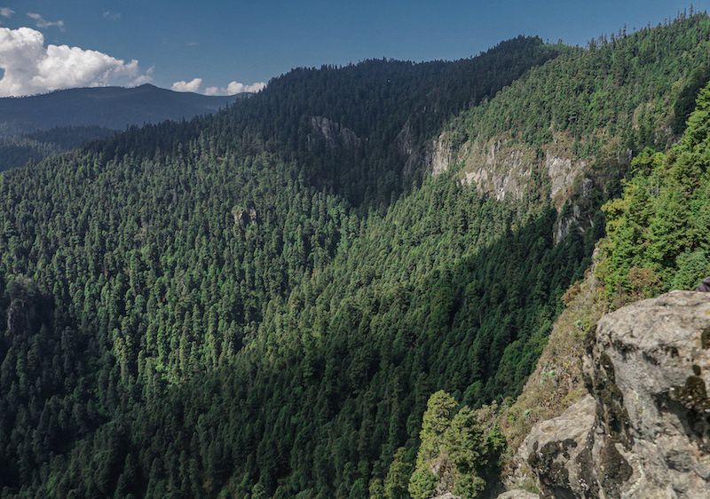 Parque Ecológico Los Dinamos