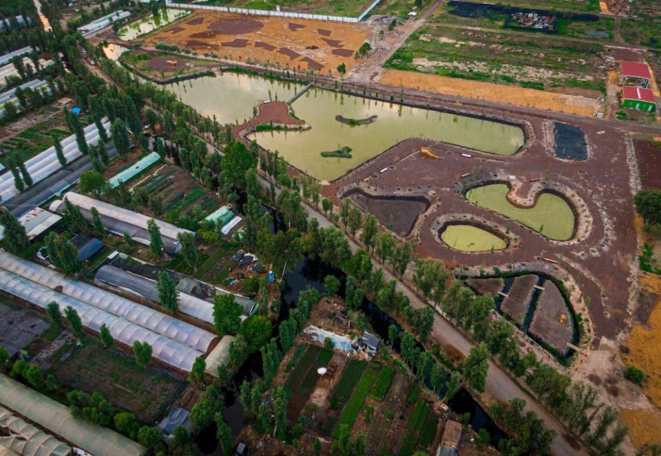 Centro para la Preservación de la Biodiversidad de la Ciudad de México. 